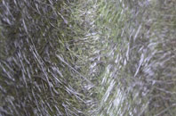 Inworth fibreglass roof work